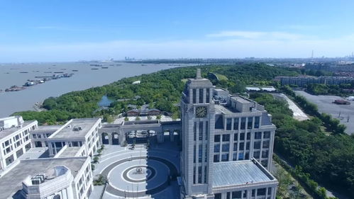 滬上力量再集結，數字創意賦新能——上海市紅色文化傳播志愿服務聯盟在寶山成立